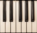 Piano Keyboard One Octave