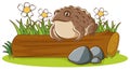 Isolated picture of big toad on log illustration Royalty Free Stock Photo