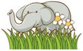 Isolated picture of cute elephant illustration