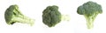 Isolated pieces of brocoli Royalty Free Stock Photo