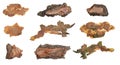 isolated pieces of pine bark Royalty Free Stock Photo