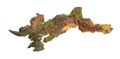 isolated pieces of pine bark Royalty Free Stock Photo
