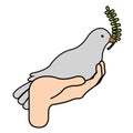 Isolated pigeon icon