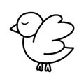 Isolated pigeon icon