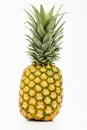 Isolated pinapple Royalty Free Stock Photo