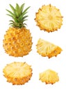 Isolated pineapple. Collection of whole and sliced ananas fruits isolated on white background with clipping path. Royalty Free Stock Photo