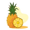 Isolated pineapple color sketch vector illustation