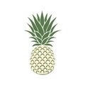 Isolated Pineapple Fruit Illustration Tropical Food Icon Design Royalty Free Stock Photo