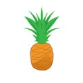 Isolated pineapple. Halftone style