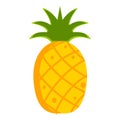 Isolated pineapple icon Royalty Free Stock Photo