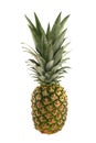 Isolated pineapple on white background