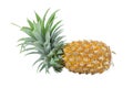 Isolated of pineapple.