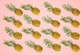 Isolated pineapples pattern on pale red background. Summer conc