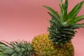 Isolated pineapples on a pink background with space for text in the upper left of the image. Healthy food concept