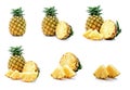 Isolated Pineapples