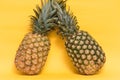 Isolated pineapples on a yellow background.