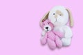 Isolated Pink Bear Doll Sitting On White Dog Doll/toy On Pink Ba