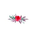 Isolated pink blossom on white background for holiday frame, invitation border. Vintage watercolor boutonniere of red roses and