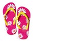 Isolated Pink Flip Flops