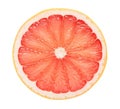 Isolated pink grapefruit cross section