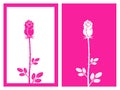 pink rose bud flower,vector and illustration