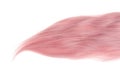 Isolated pink weft of hair