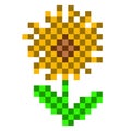 Pixelated sunflower icon