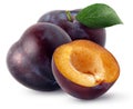 Isolated plums. Two whole and a half of blue plum fruit isolated on white background, with clipping path.