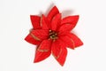Isolated poinsettia with red leaves. Plastic, artificial Euphorbia pulcherrima.