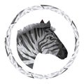 Isolated polygonal zebra design