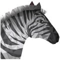 Isolated polygonal zebra design