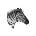 Isolated polygonal zebra design