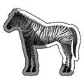 Isolated polygonal zebra design