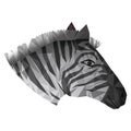 Isolated polygonal zebra design