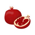 Isolated pomegranat friut.