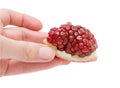 Isolated pomegranate fruit. Hand holding pomegranate with slice of ripe red beans isolated on white background