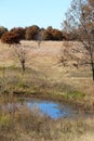 Isolated Pond