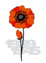 Isolated poppy flower poster. Royalty Free Stock Photo