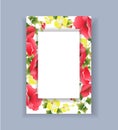 Isolated poppy frame.