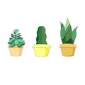 Isolated potted succulents Sansevieria, Cactus, Echeveria in a row, vector succulent plants in Cartoon style, evergreen indoor