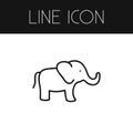 Isolated Proboscis Outline. Elephant Vector Element Can Be Used For Elephant, Trunked, Proboscis Design Concept.