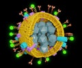 Properties of liposome nanoparticles for drug delivery