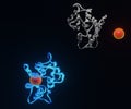 Isolated protein binding with Aequorin protein generates blue light from jellyfish DNA 3d rendering