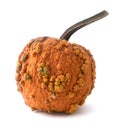 Isolated Pumpkin Royalty Free Stock Photo