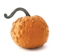 Isolated Pumpkin Royalty Free Stock Photo