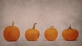 Isolated pumpkins with copy space. Banner or background related to autumn, Halloween day and Thanksgiving