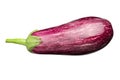 Isolated purple eggplant. One fresh eggplant graffiti over white background Royalty Free Stock Photo