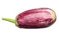 Isolated purple eggplant. One fresh eggplant graffiti over white background Royalty Free Stock Photo