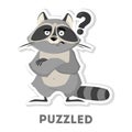 Isolated puzzled raccoon.