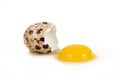 Isolated quail egg in white background